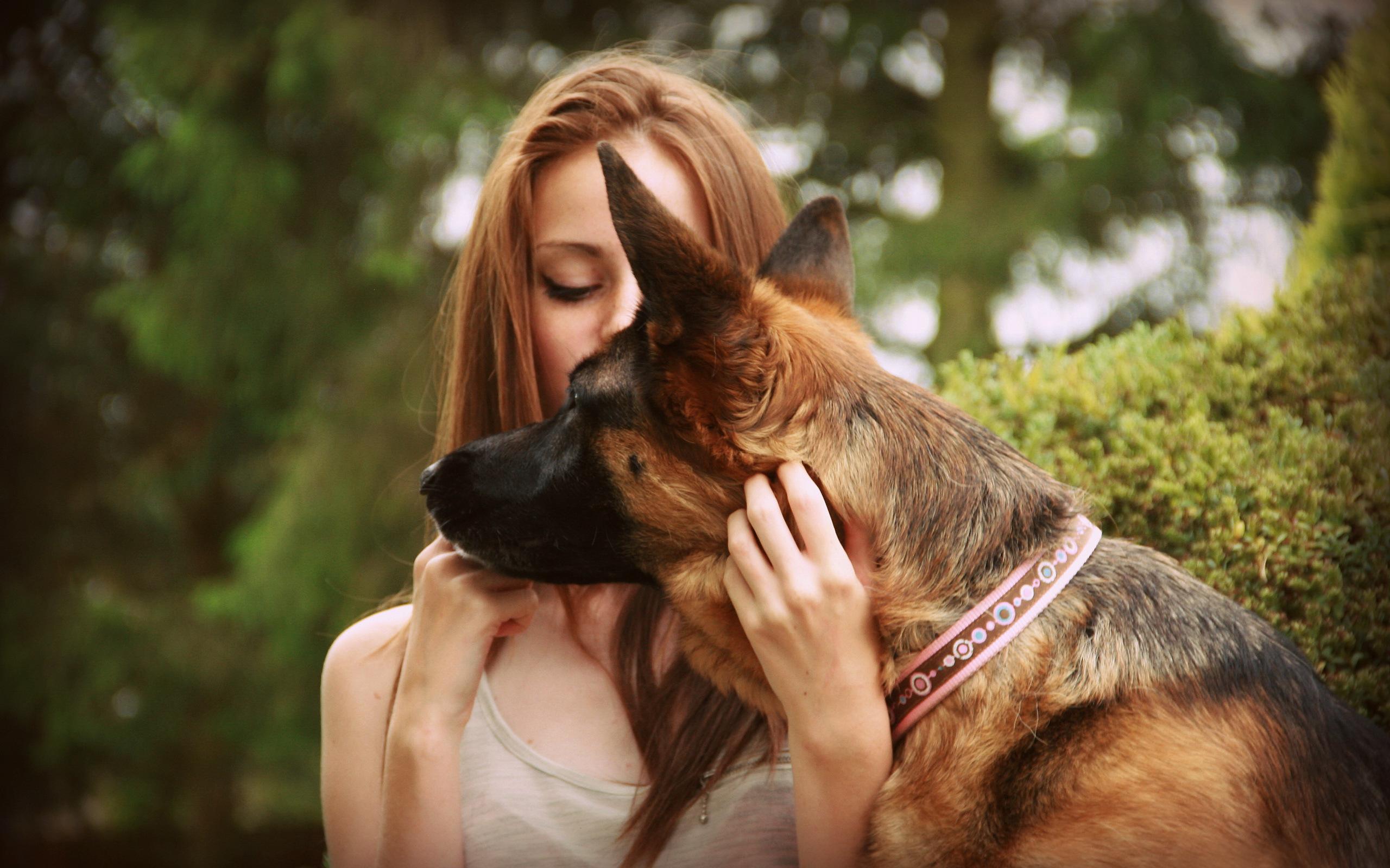 Perros de Seguridad para mujeres maltratadas